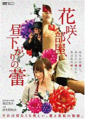 红桃视频 纸飞机档案 电影海报